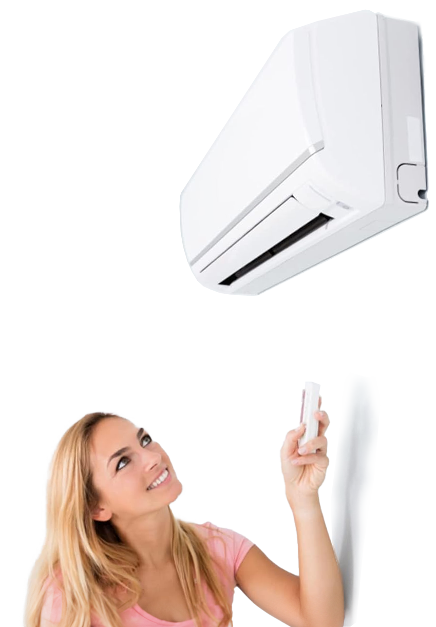 dedetizadora atendimento 24horas